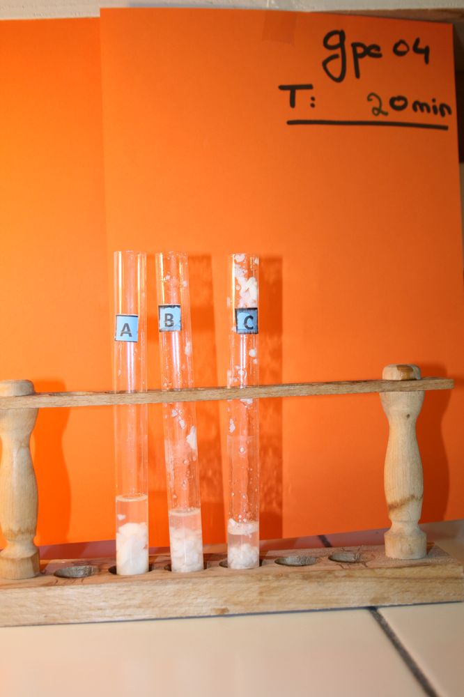 gal/LES_CINQUIEMES/ACTIVITE DIGESTION IN VITRO/Groupe_04/Groupe04_T_00h20min/Groupe04_T_00h_20min_3.JPG